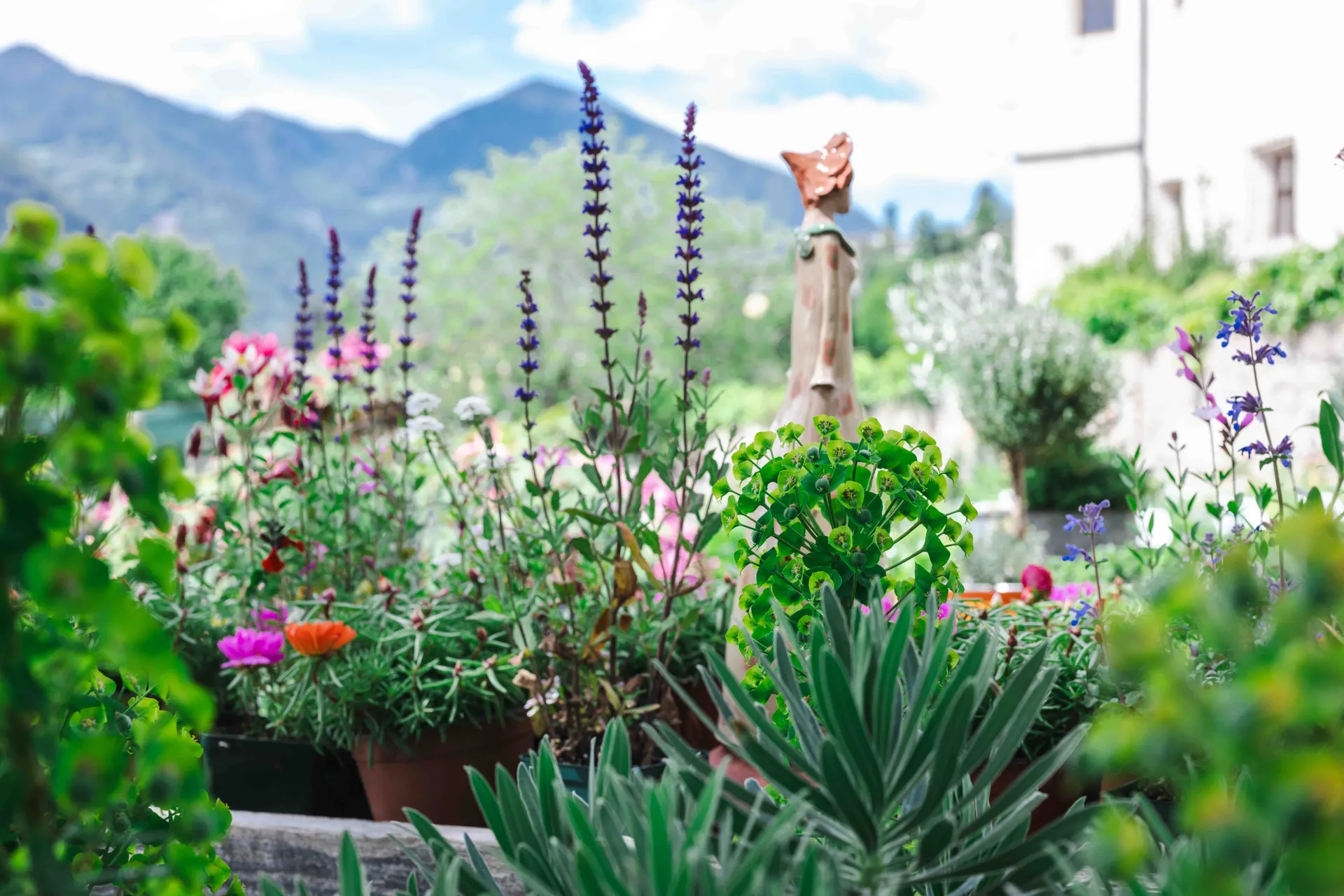 Un paradiso per le api nel proprio giardino: con le perenni verso un'oasi fiorita